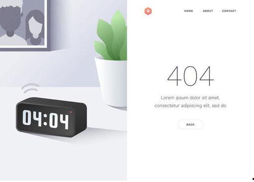 404精品,揭秘网络迷航中的宝藏之地